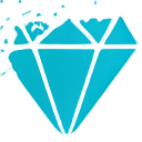 RapidFort logo